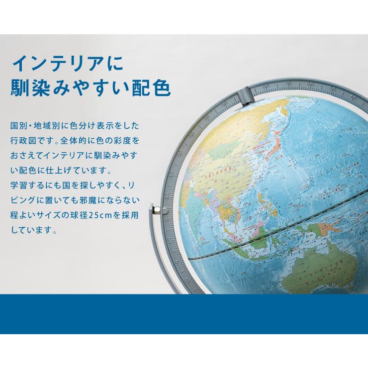 販売売品 レイメイ藤井 リビング地球儀25cm 全回転 行政タイプ OYV256 地球儀 インテリア 子供用 学習 25cm 化粧箱入り おしゃれ