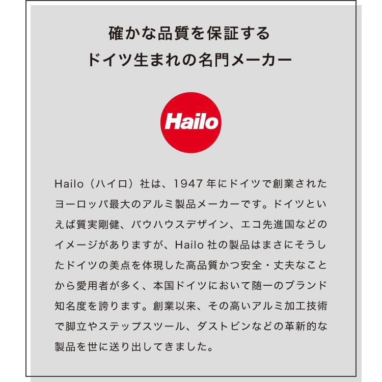 Hailo ハイロ ゴミ箱 ごみ箱 ダストボックス ニュービッグボックス40L