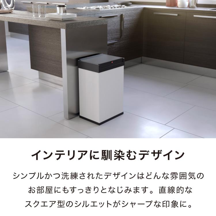 Hailo ハイロ ゴミ箱 ごみ箱 ダストボックス ニュービッグボックス40L