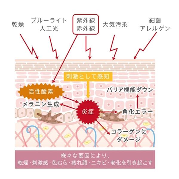エックスリュークス XLUXES プロケア リバーサーセラムW 20mL×2本入の画像