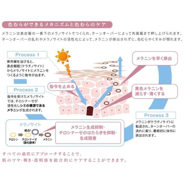 エックスリュークス XLUXES プロケア リバーサーセラムW 20mL×2本入の画像
