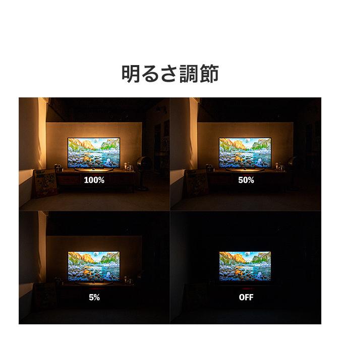 リモコン・ベースセット ショートマンクス フロアライト 真鍮タイプ LED フロアライト スタンドライト 調光 バーライト 調色 照明 北欧 インテリア 代引不可_11