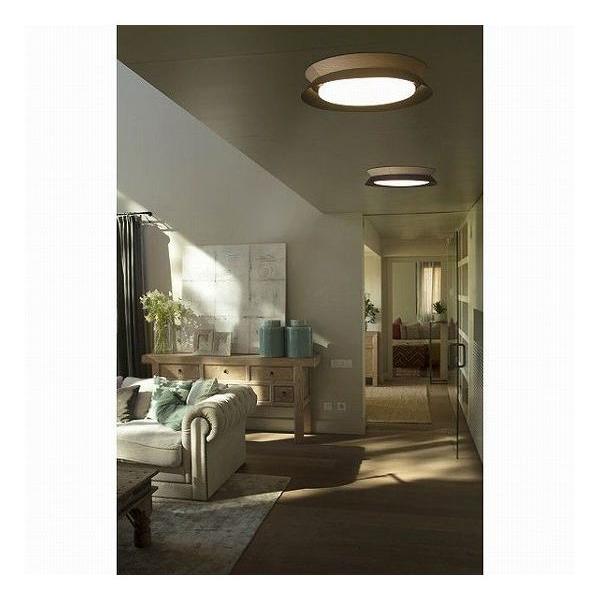 ゴーリキアイランド TENDER LED Black ceiling lamp FARO INDOOR ライト FA20094 代引不可の画像