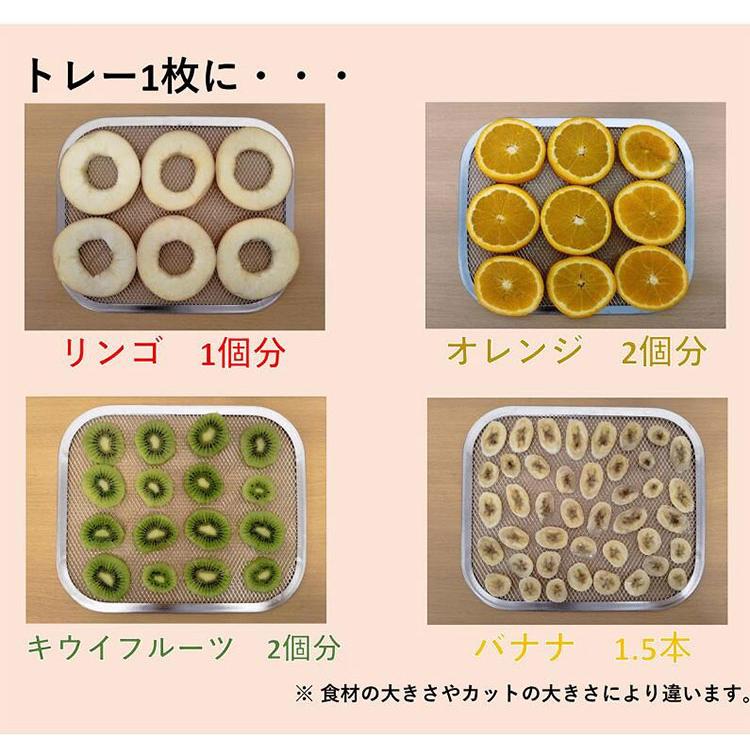 プチマレンギ mini 東明テック 家庭用食品乾燥機 ホワイト TTM