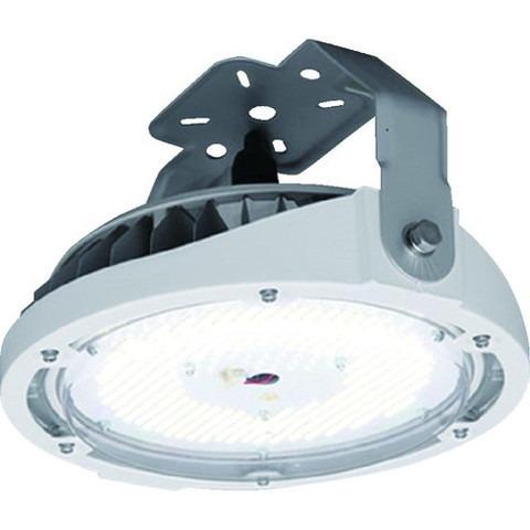 アイリスオーヤマ 高天井用LED照明 RZ180シリーズ 直付タイプ 15000lm LDRCL85N110BS 代引不可