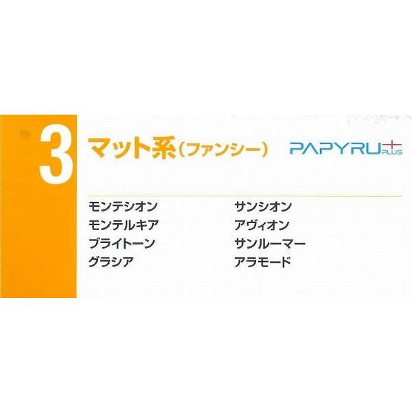 アヴィオンホワイト A4 Ｙ 127.9ｇ110kg 1800枚 代引不可_3