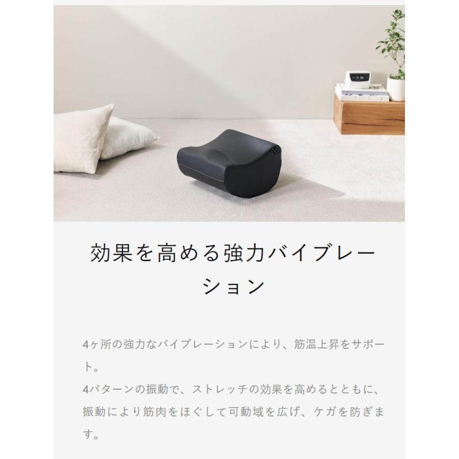 AiMY フレックスウェーブ プロ ストレッチ ケア ケガ防止 筋膜リリース