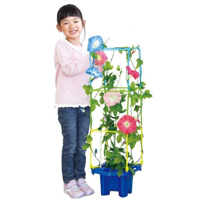 ステップあさがお持ち帰り袋付cセット支柱付 理科教材 備品 栽培キット観察 2931 リコメン堂ホームライフ館 通販 Yahoo ショッピング