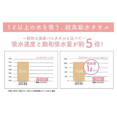5枚セット 本多タオル バスタオル大好き宣言 おぼろタオル チャコールグレー DS-CGYX5_3