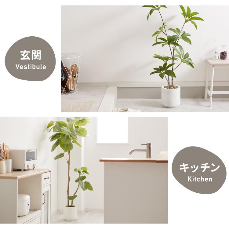新品・送料込】観葉植物 インテリア オリーブ ナチャラル店舗玄関