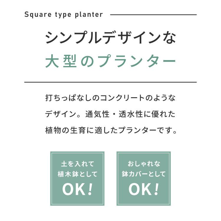 プランター 大型 50×50cm スクエア コンクリート おしゃれ モダン ガーデニング 植木鉢 鉢カバー プランターカバー プランターボックスの画像