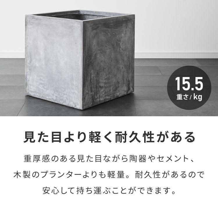 プランター 大型 50×50cm スクエア コンクリート おしゃれ モダン ガーデニング 植木鉢 鉢カバー プランターカバー プランターボックスの画像