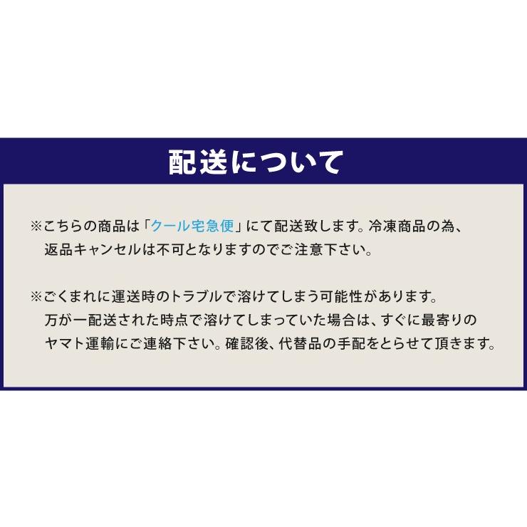 マリオジェラテリア ジェラート 特濃ミックス 12個 バニラ チョコ ピスタチオ マンゴー 苺ミルク 塩キャラメル アイス 代引不可｜rcmdhl｜05