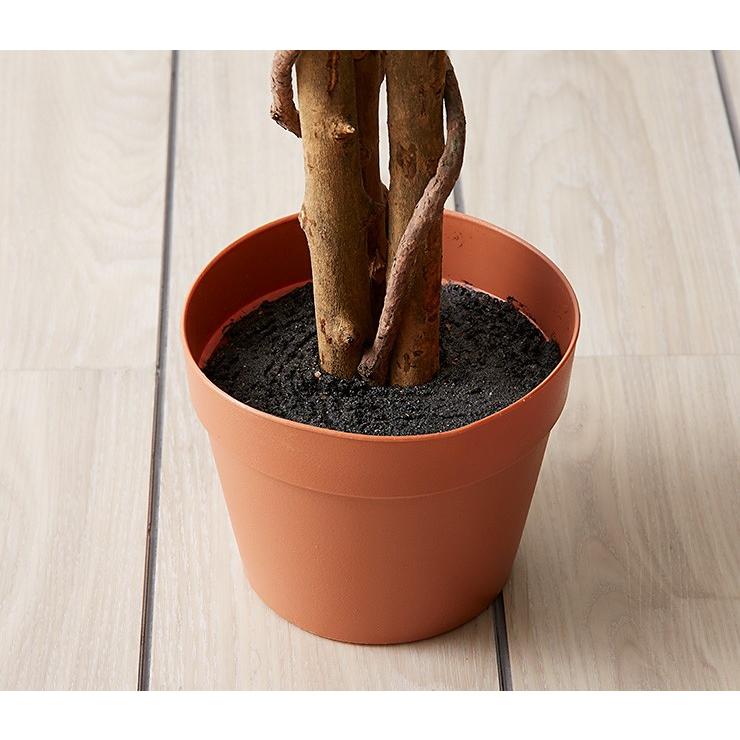 人工観葉植物 フィカス ロータイプ ゴムの木 フェイクグリーン インテリアグリーン 造花 観葉植物 人工 フェイク グリーン 代引不可 | ブランド登録なし | 11