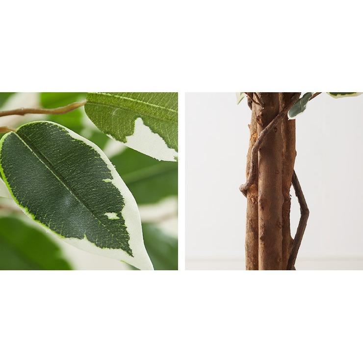 人工観葉植物 フィカス ロータイプ ゴムの木 フェイクグリーン インテリアグリーン 造花 観葉植物 人工 フェイク グリーン 代引不可 | ブランド登録なし | 04