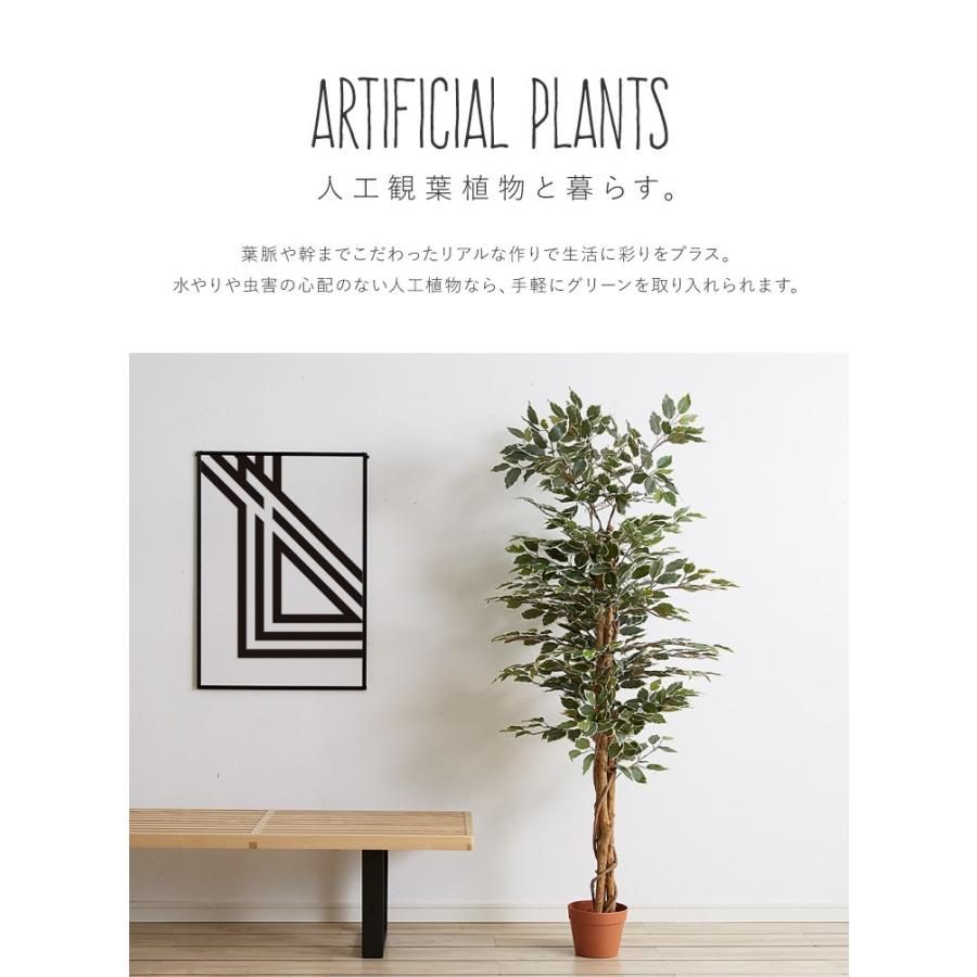 人工観葉植物 フィカス ロータイプ ゴムの木 フェイクグリーン インテリアグリーン 造花 観葉植物 人工 フェイク グリーン 代引不可 | ブランド登録なし | 06