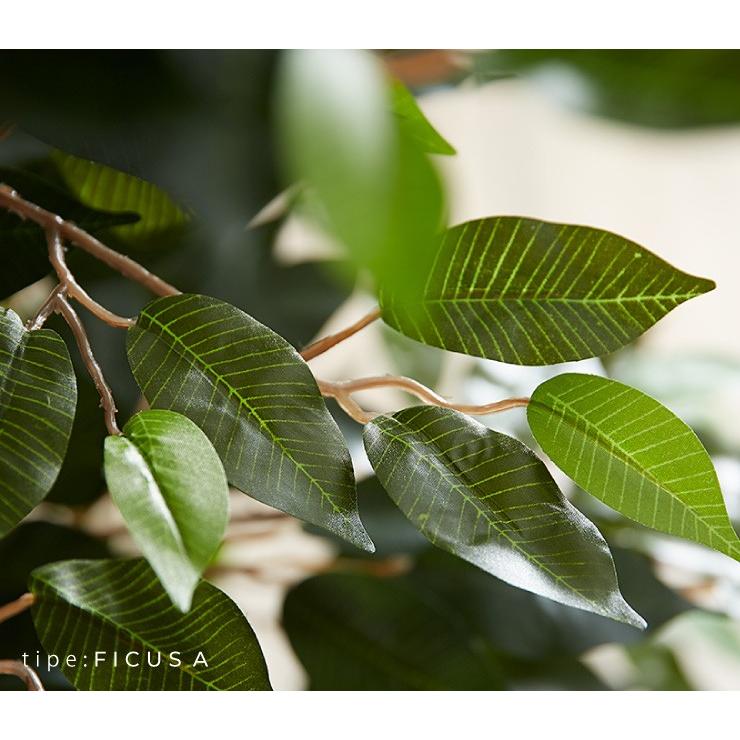 人工観葉植物 フィカス ロータイプ ゴムの木 フェイクグリーン インテリアグリーン 造花 観葉植物 人工 フェイク グリーン 代引不可 | ブランド登録なし | 09