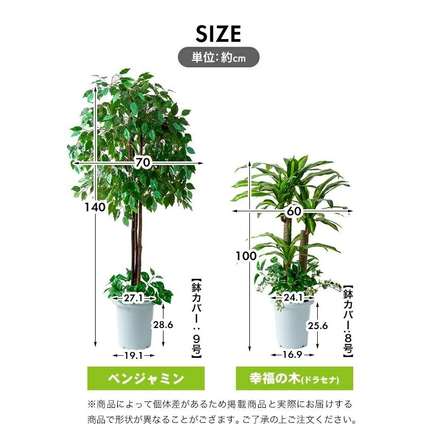 観葉植物 インテリアグリーン 2点セット ベンジャミン 幸福の木 鉢ポット付き 光触媒加工 人工観葉植物 水やり不要 オフィス 事務所 お店 自宅 代引不可 Fl 5848 リコメン堂ホームライフ館 通販 Yahoo ショッピング