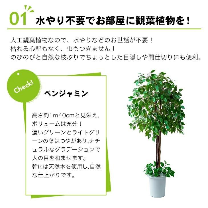 観葉植物 インテリアグリーン 2点セット ベンジャミン 幸福の木 鉢ポット付き 光触媒加工 人工観葉植物 水やり不要 オフィス 事務所 お店 自宅 代引不可 Fl 5848 リコメン堂ホームライフ館 通販 Yahoo ショッピング