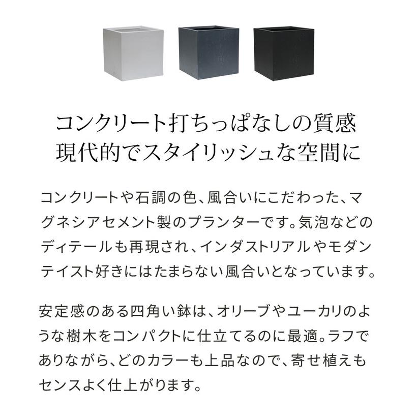 マグネシアプランター TEXTURE テクスチャー 角型50cm ブラック グレー ホワイト TEX-500C プランター キューブ型 立方体 正方形 植木鉢 代引不可_4