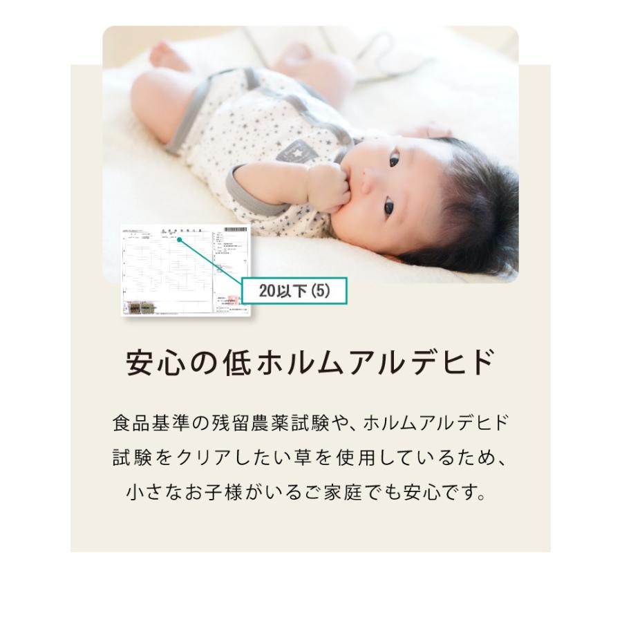 カラフル置き畳 同色9枚セット 置き畳 い草 畳 マット 82cm 半畳 軽量 滑り止め付 低ホルム 湿度調整 吸音 空気清浄 防音対策 カットOK 和室 代引不可_9