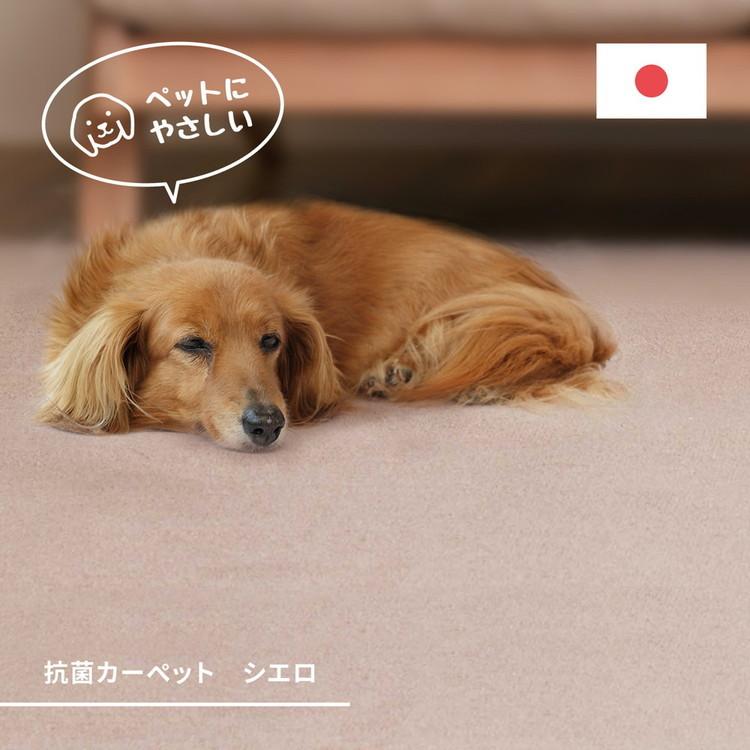 ペットも安心 日本製 抗菌 敷き詰めカーペット シエロ 江戸間8帖 8畳 防臭 カットパイル ペット 爪引っかかり防止 ラグマット オールシーズン 代引不可_5