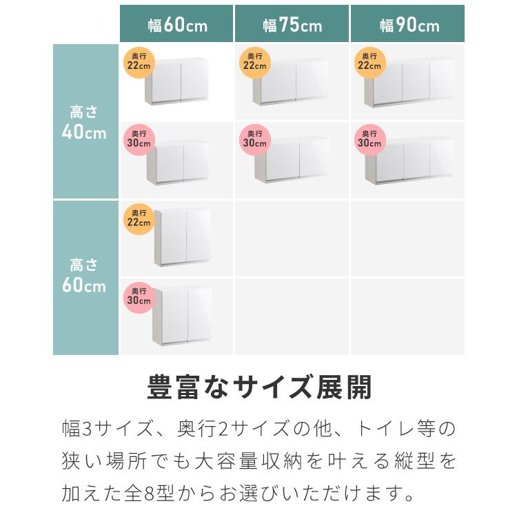 選べる吊戸棚豊富なサイズ 壁面収納 吊戸棚 縦型 幅60 奥行22 完成品 日本製 F キッチン 洗面所 リビング 吊り戸棚 棚 可動棚 高さ調節 鏡面 木目 代引不可の画像