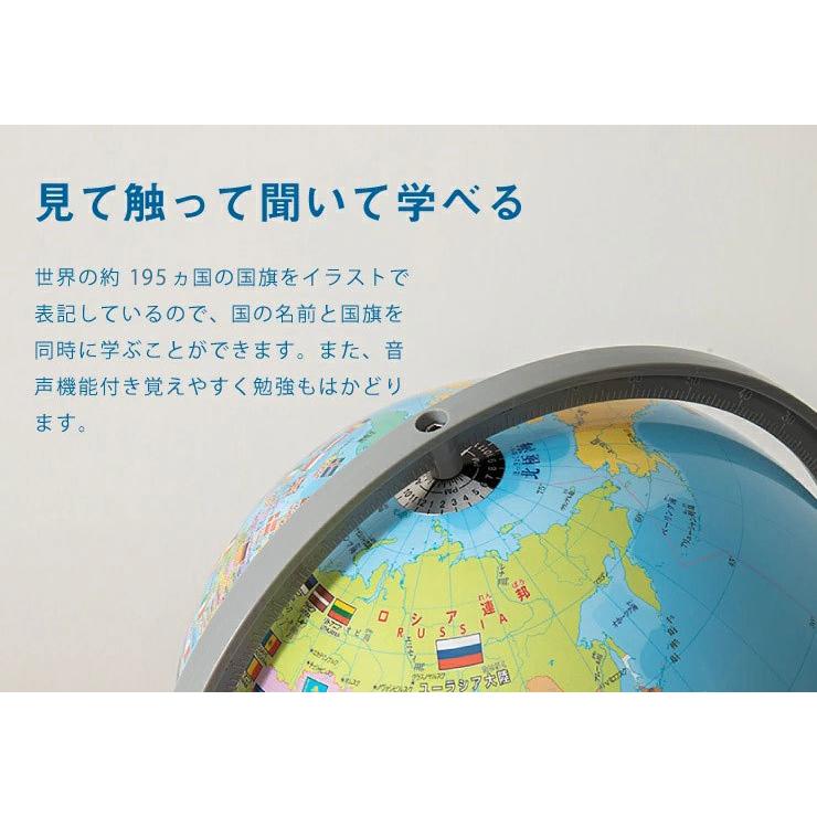 地球儀 レイメイ藤井 しゃべる国旗付地球儀トイ 径25cm 音声機能 全回転 地球儀スケール 行政タイプ 学習 自由研究 小学生 子供用 Oyv403 K6 リコメン堂ホームライフ館 通販 Yahoo ショッピング