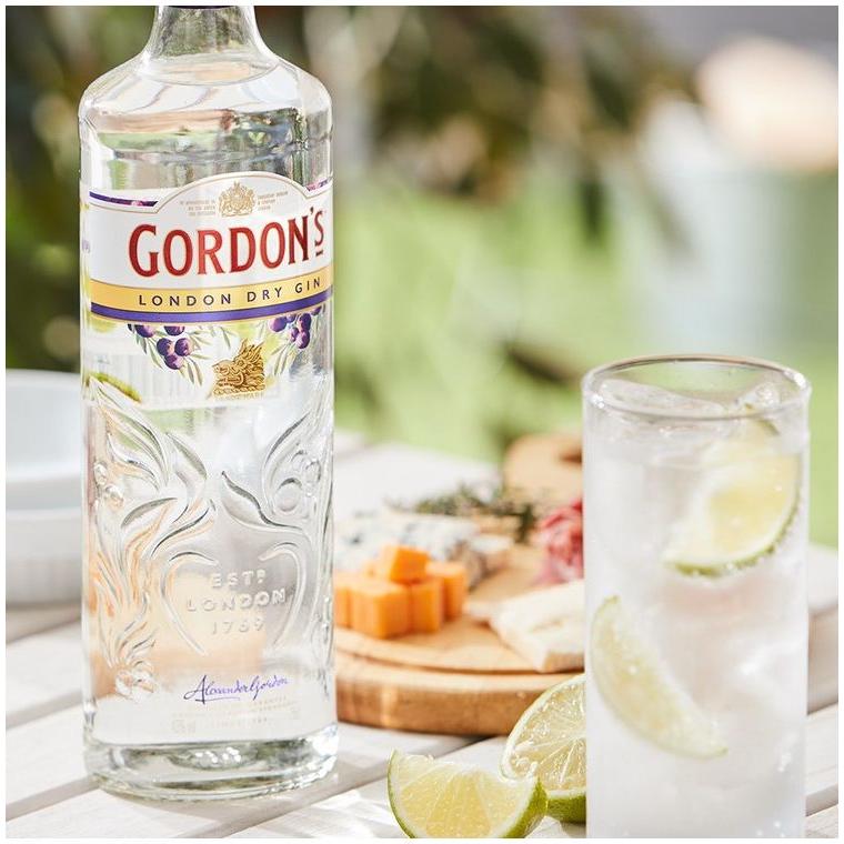 本格ジントニックセット 「ゴードン」ドライジン&トニックウォーター2