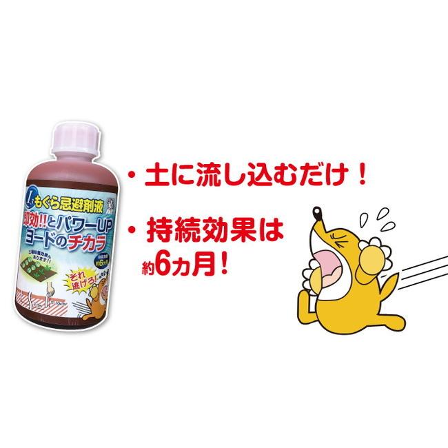 もぐら忌避剤液 代引不可 :ls-4529458006526:リコメン堂ホームライフ館 - 通販 - Yahoo!ショッピング もぐら忌避剤液 代引不可 :ls-4529458006526:リコメン堂ホームライフ館 - 通販 - Yahoo!ショッピング