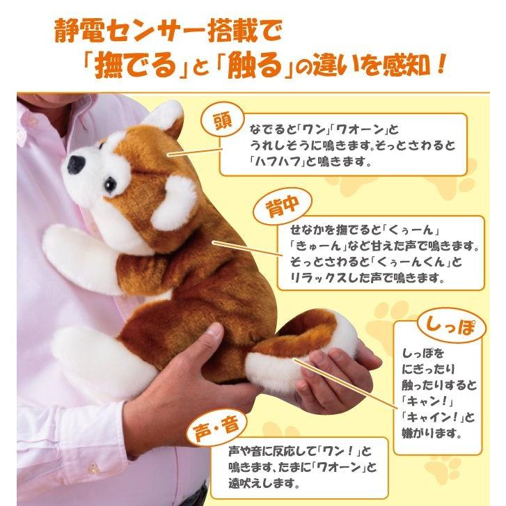 なでなでワンちゃん 秋田犬 Hachi ハチ しゃべる ぬいぐるみ 人形 大きい 代引不可 Ls リコメン堂ホームライフ館 通販 Yahoo ショッピング