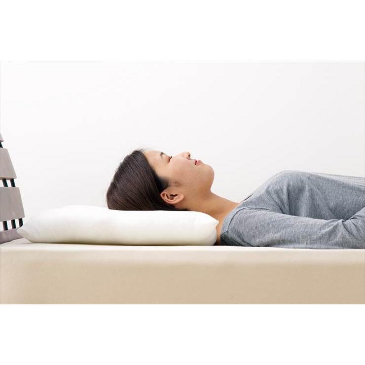 枕 まくら ピロー 洗える テイジン製中綿使用 ウォッシャブル 低い 低め 低い枕 洗える枕 ローピロー 日本製 国産 やわらかめ Ml Sk L Tjpillow リコメン堂ホームライフ館 通販 Yahoo ショッピング