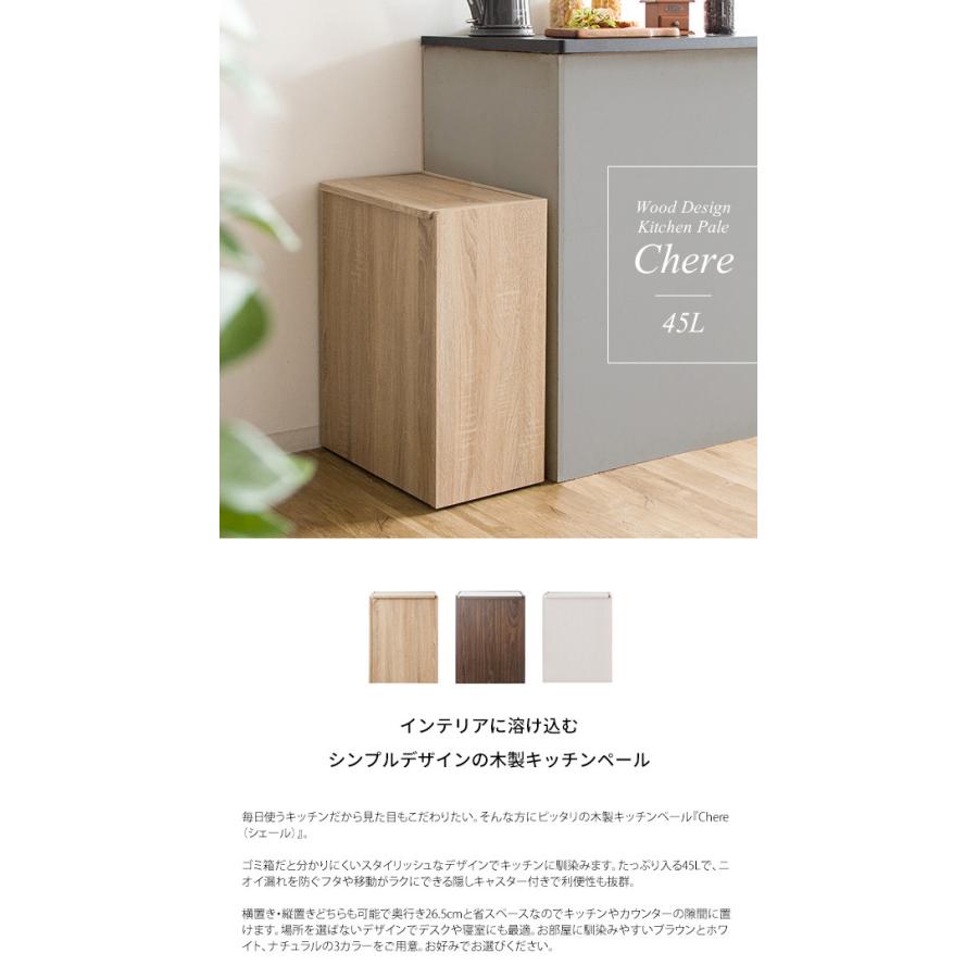 SVELTE】45L 蓋つき ゴミ箱（ダストBOX） ウィザーパイン⁄ディープ