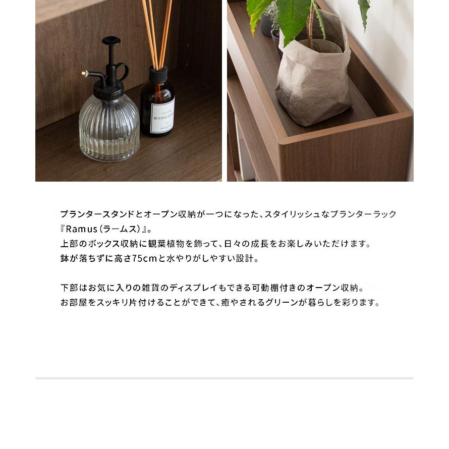 Ramus プランターラック オープンラック ボックス収納 オープン収納 収納棚 雑貨 プランター ディスプレイ スタイリッシュ 観葉植物 可動棚 代引不可の画像