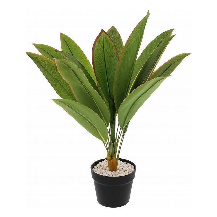 ベストコ フェイクグリーン 水やり不要 造花 フォリージ 観葉植物 ドラセナ スタイル ミドル Ne 561 Nf リコメン堂ホームライフ館 通販 Yahoo ショッピング