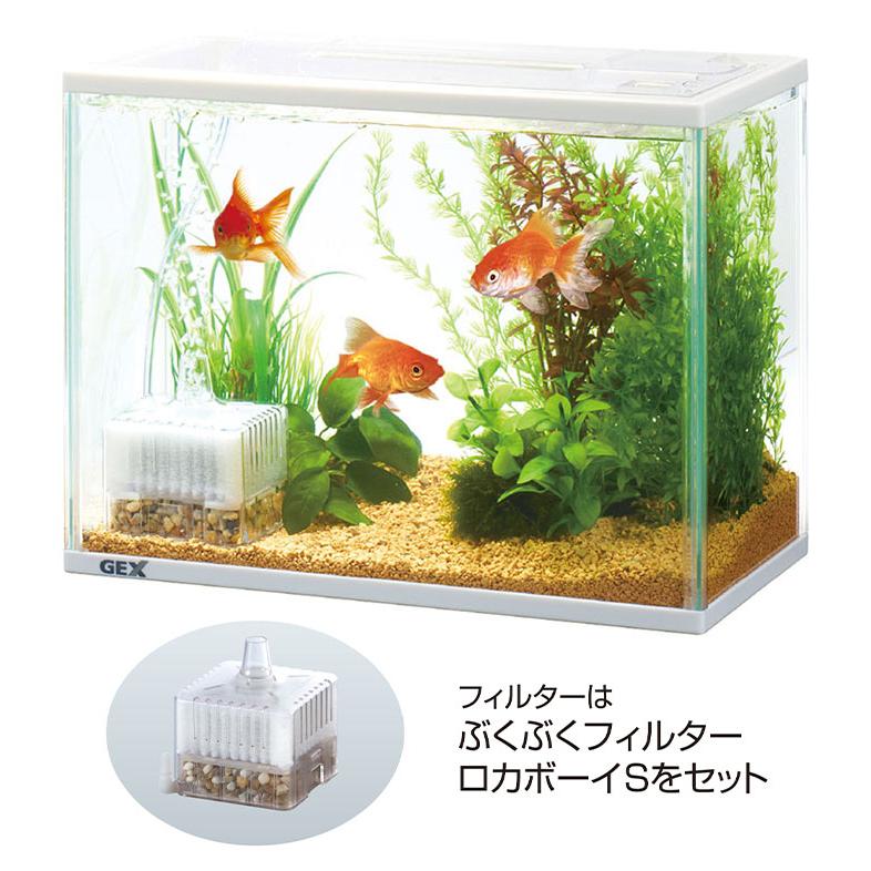 ジェックス Gex 金魚元気 ぶくぶく水キレイセットs 水槽 ブクブク エアーポンプ フィルター 熱帯魚 観賞魚 アクアリウム ガラス ガラスケース O4 リコメン堂ホームライフ館 通販 Yahoo ショッピング
