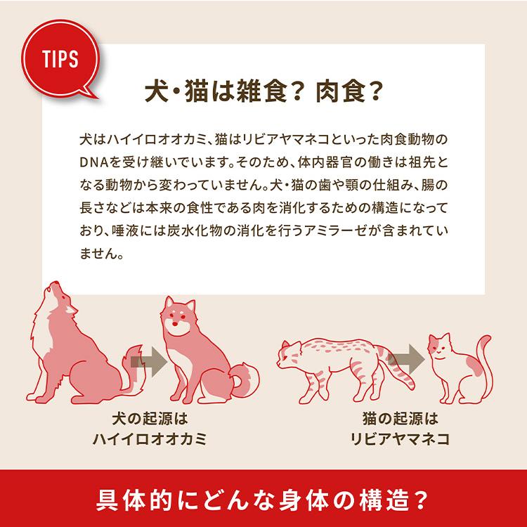 オリジン ガーディアン8 1.8kg 猫用 ねこ用 キャットフード 主食 ORIJEN ペットフード ペット 猫_3