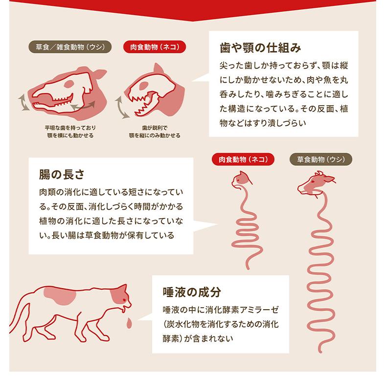 オリジン ガーディアン8 1.8kg 猫用 ねこ用 キャットフード 主食 ORIJEN ペットフード ペット 猫_4