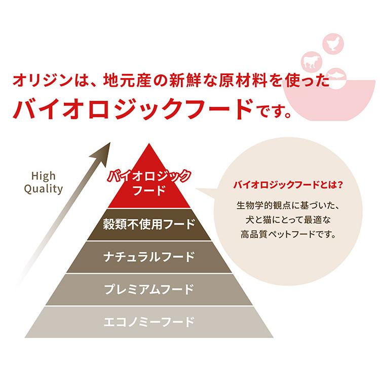 オリジン ガーディアン8 1.8kg 猫用 ねこ用 キャットフード 主食 ORIJEN ペットフード ペット 猫_5