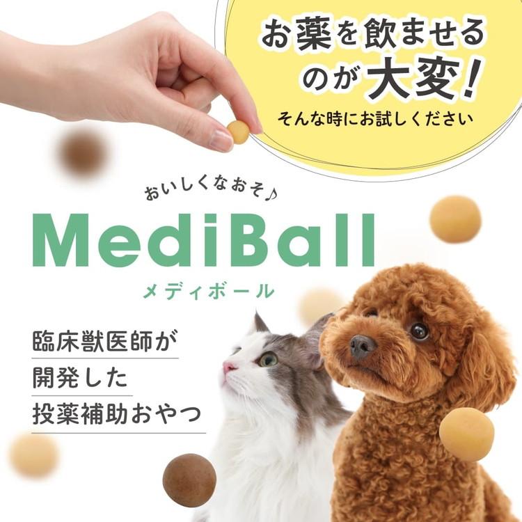 24個セット メディボール 猫用 かつお味 15個_2