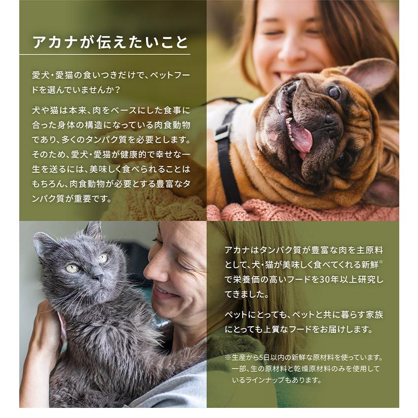 2個セット アカナ シニアレシピ 11.4kg x2 22.8kg ドライフード ドッグフード 犬用 フード ACANA 