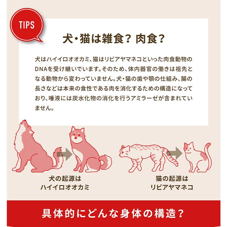 2個セット アカナ シニアレシピ 11.4kg x2 22.8kg ドライフード ドッグフード 犬用 フード ACANA 