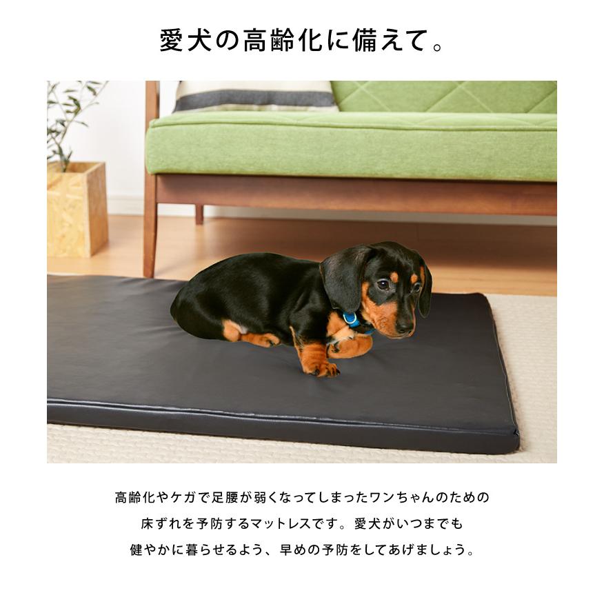 ペット用 ケアマットレス Lサイズ 大型犬 床ずれ 予防 カバー付き マット マットレス ベッド 洗える 体圧分散 高反発 レザー調 Qf Pet3 リコメン堂ホームライフ館 通販 Yahoo ショッピング