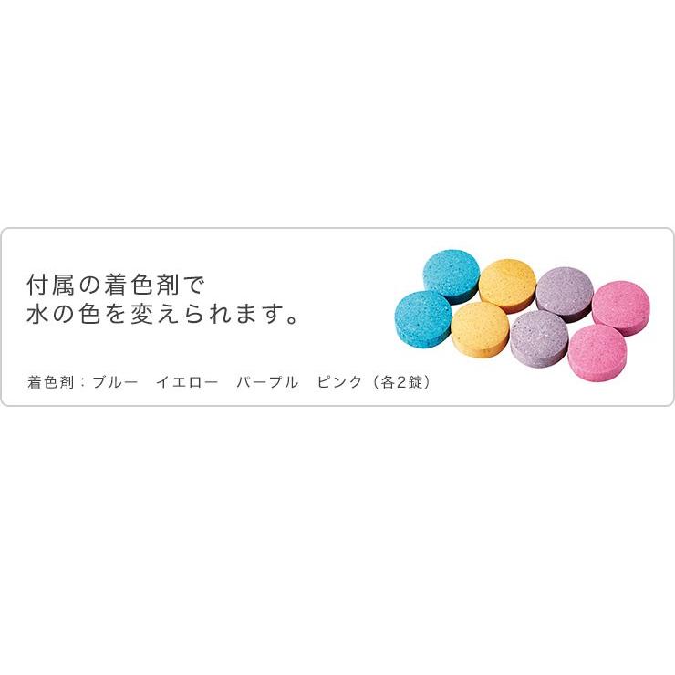 MTG タイカンストリーム アドバンス TAIKAN STREAM ADVANCE 体幹