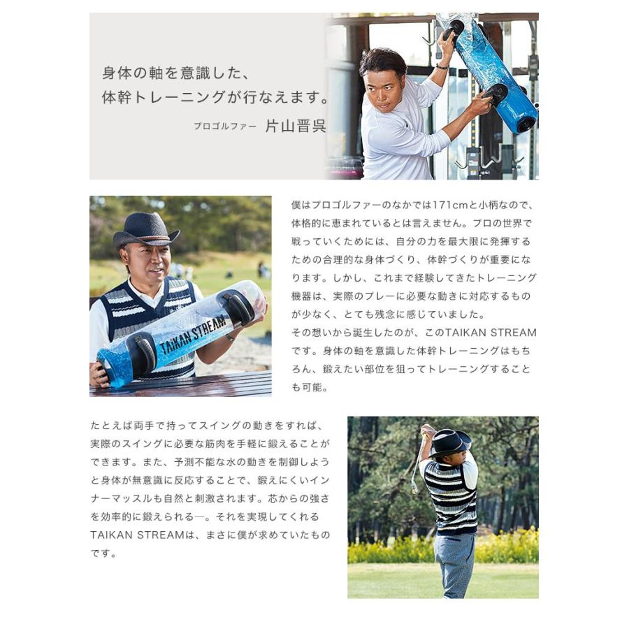 MTG タイカンストリーム アドバンス TAIKAN STREAM ADVANCE 体幹 MTG タイカンストリーム アドバンス TAIKAN STREAM ADVANCE 体幹