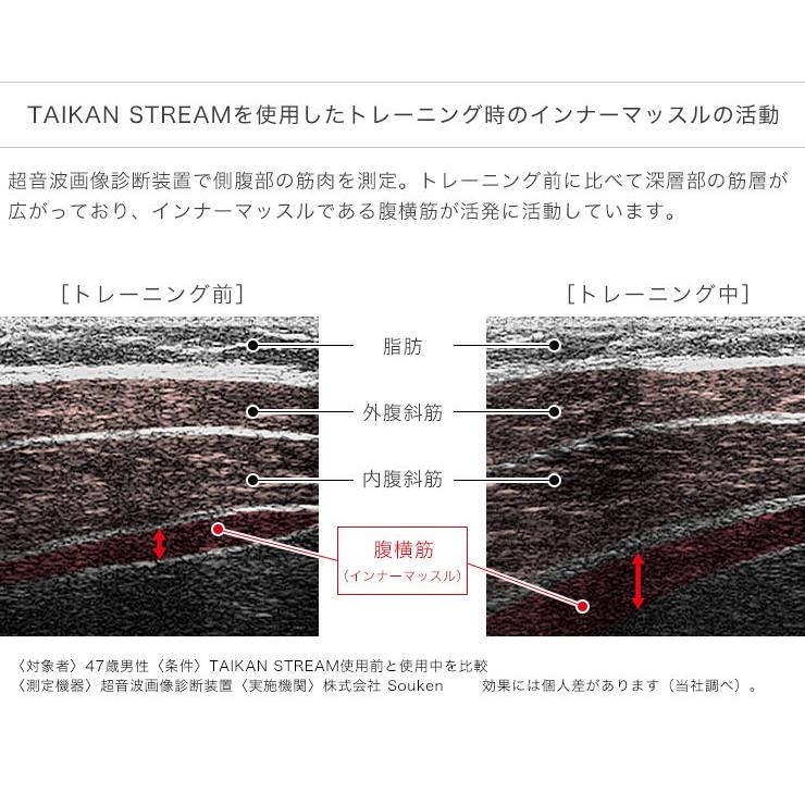 MTG タイカンストリーム アドバンス TAIKAN STREAM ADVANCE 体幹
