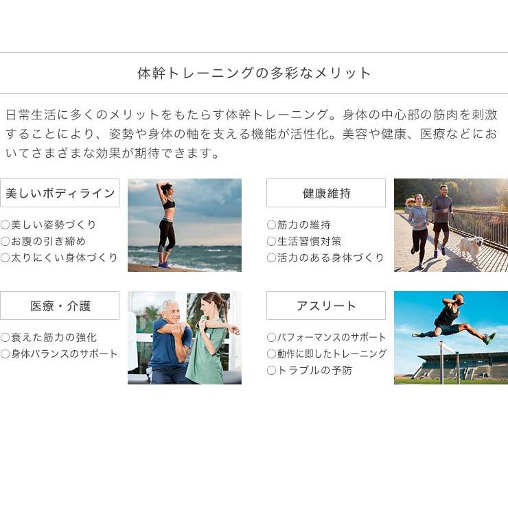 MTG タイカンストリーム アドバンス TAIKAN STREAM ADVANCE 体幹