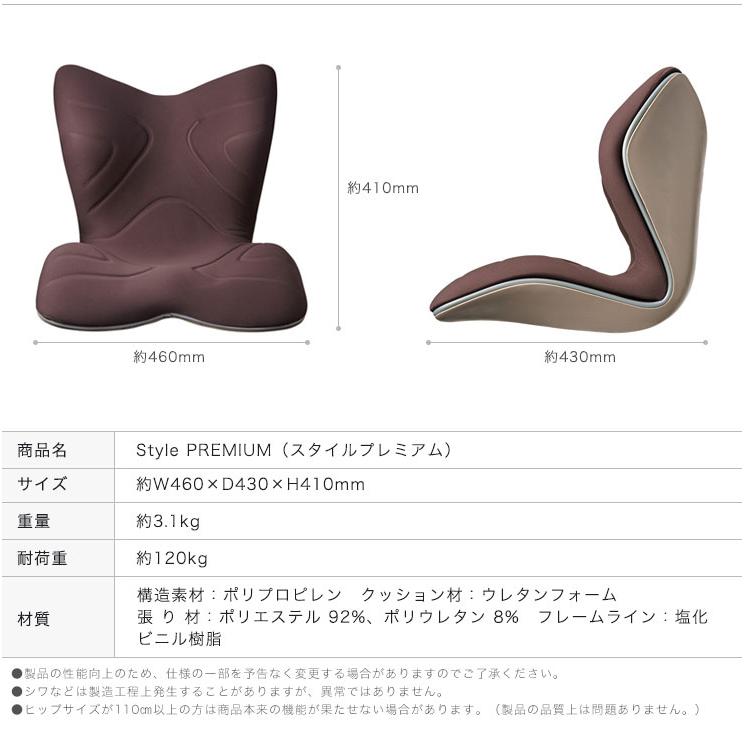Style MTG スタイル プレミアム PREMIUM YS-AL03A YS-AL18A 1年