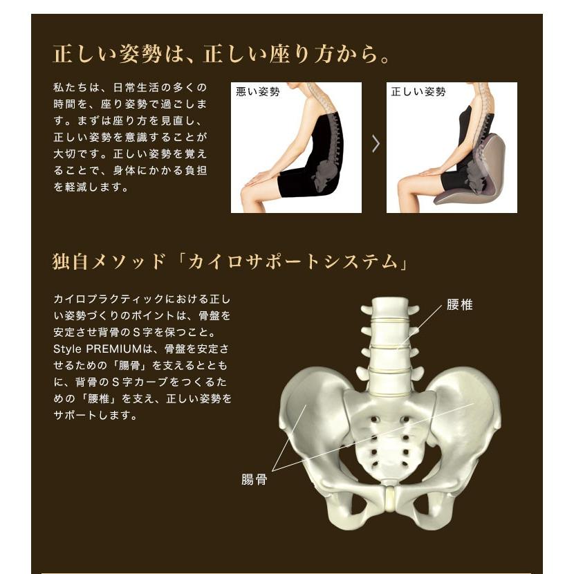 Style（スタイル） MTG プレミアム Style PREMIUM YS-AL03A YS-AL18A 1