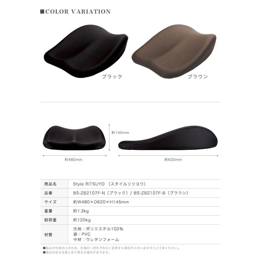 2個セット MTG 骨盤 サポート チェア Style RITSUYO 座椅子 Style MTG スタイル リツヨウ RITSUYO BS-ZB2107F 2色